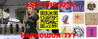 прущие грибы Коммунар