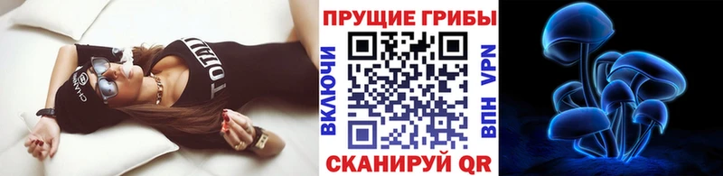 где можно купить наркотик  гидра онион  Псилоцибиновые грибы мухоморы  Ейск 
