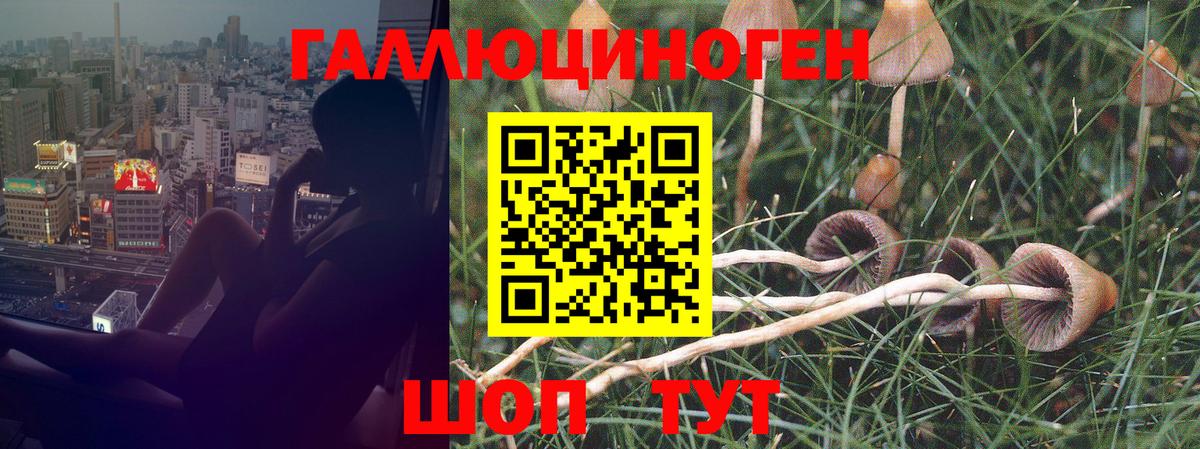 Галлюциногенные грибы Magic Shrooms Ейск
