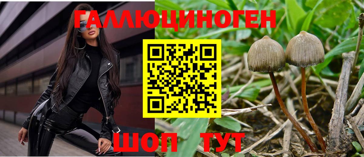 Ейск  Псилоцибиновые грибы MAGIC MUSHROOMS  закладка  Вход с VPN 
